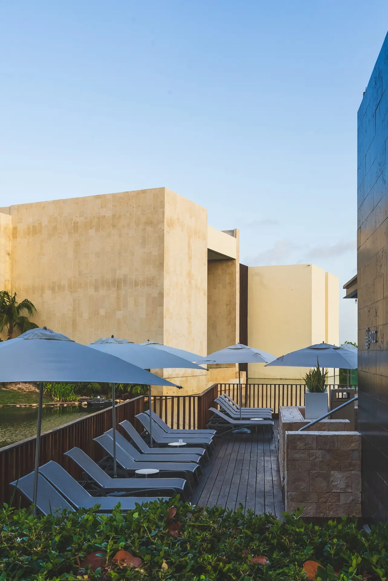Hospitality Photography Project | The TRS Coral